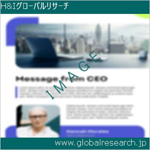 グローバルリサーチ調査レポートのイメージ